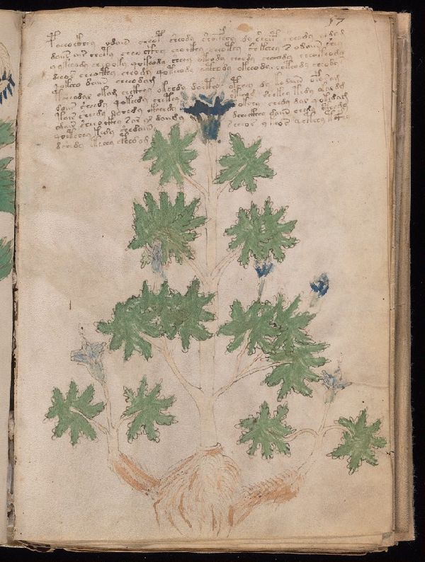Beinecke MS 408 folio 57r — astronomical section with circular diagrams