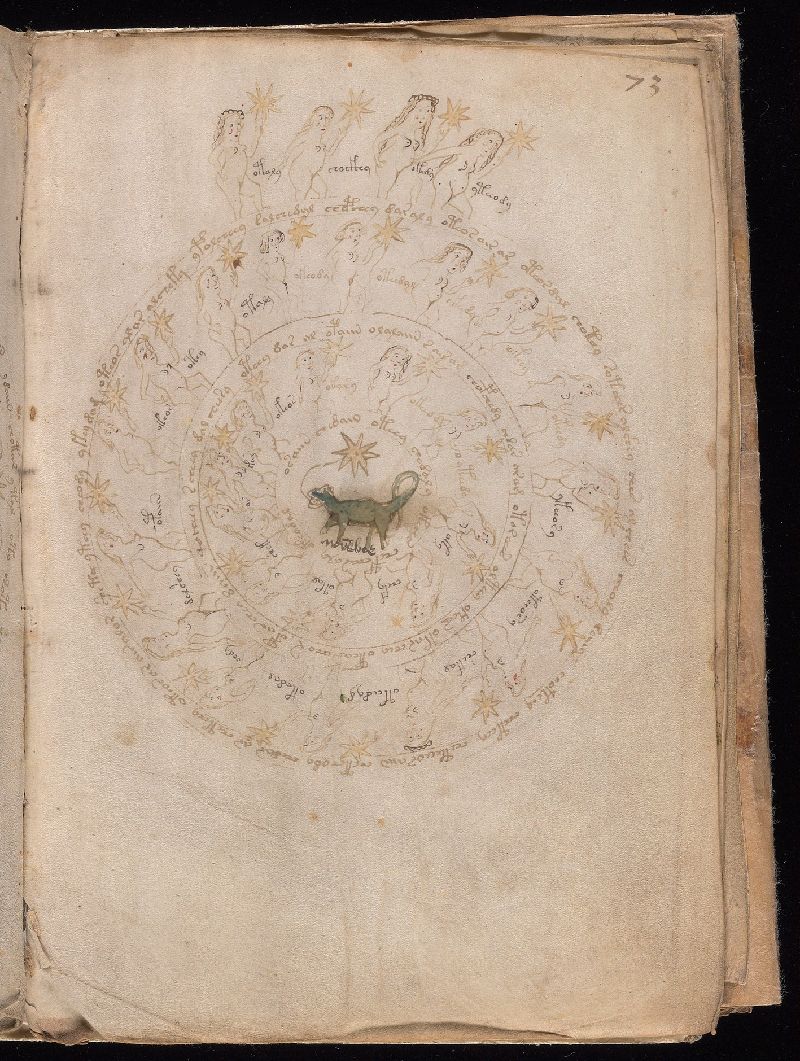 Cosmological section - The great map