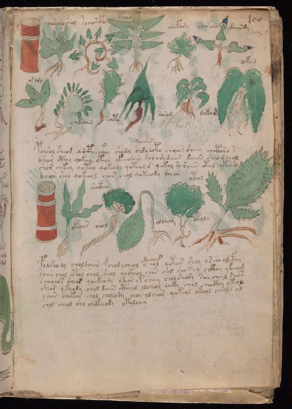 f.84r