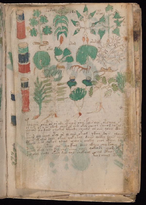 f.85r