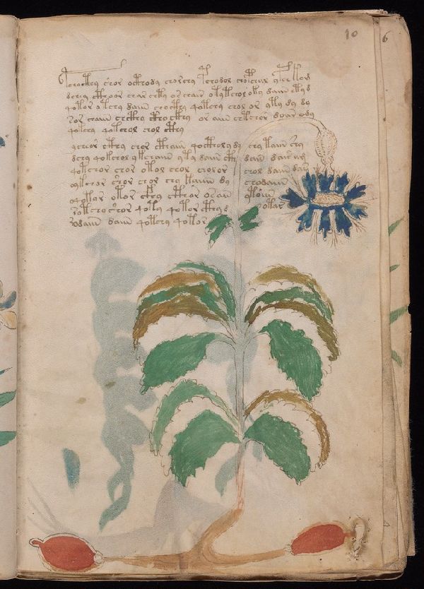 f.10r