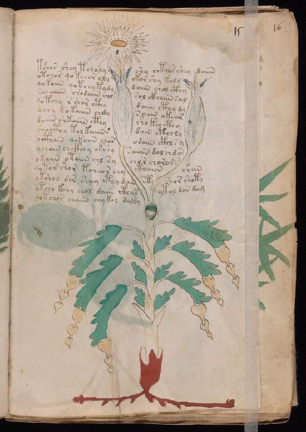 f.15r