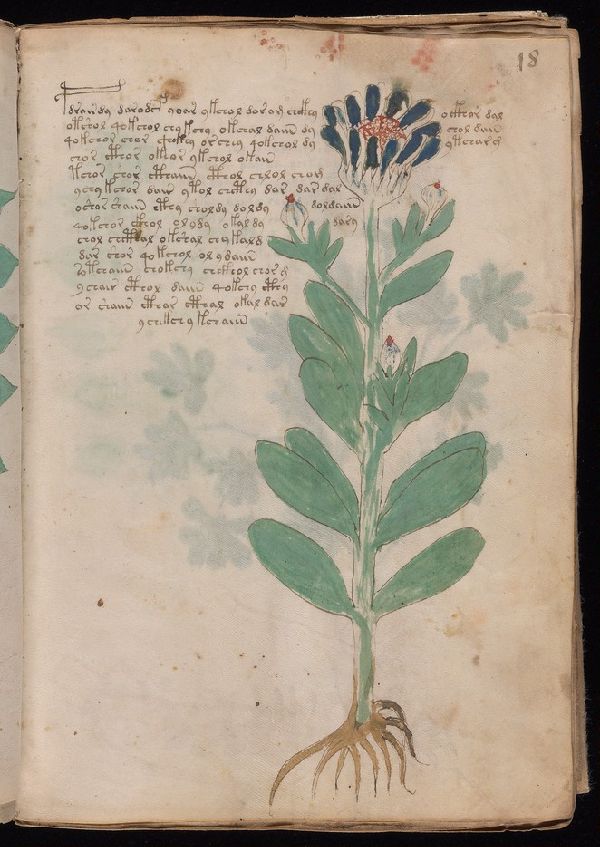 f.18r