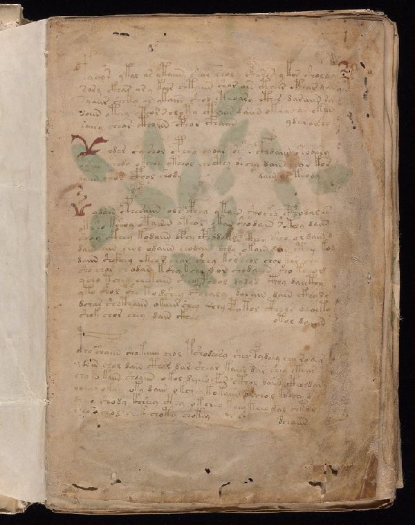 f.1r