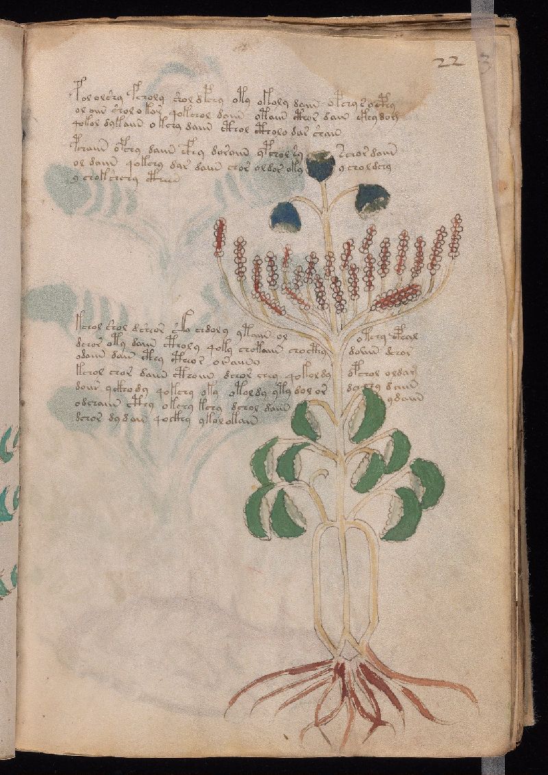 f.22r
