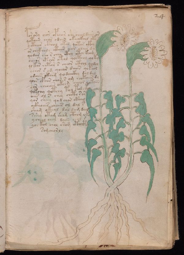 f.24r
