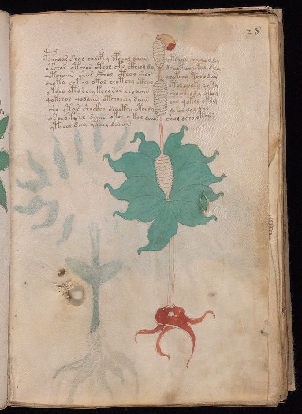 f.28r
