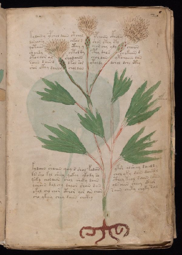 f.2r