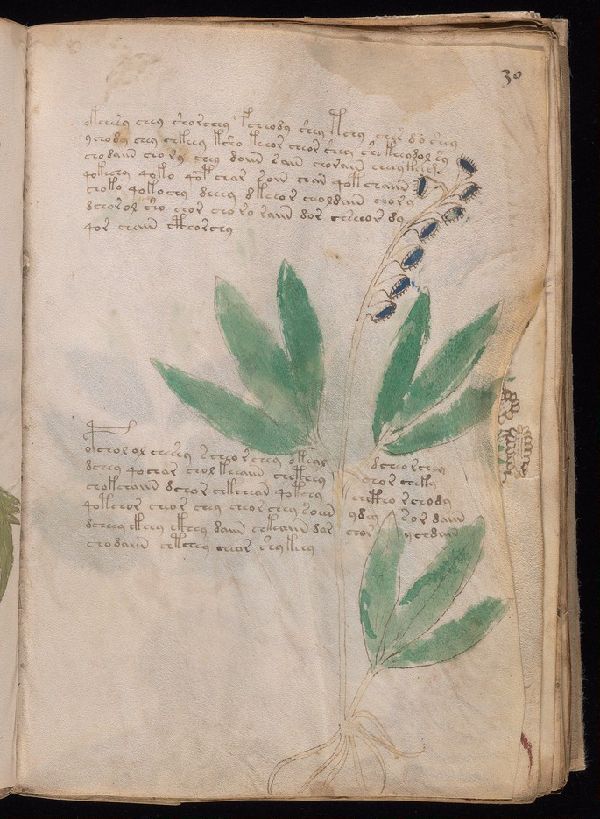 f.30r