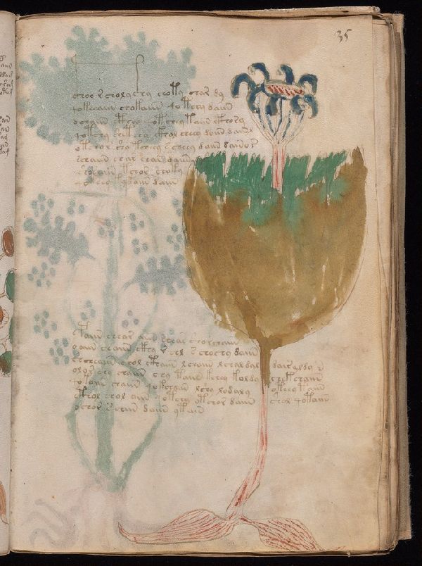 f.35r