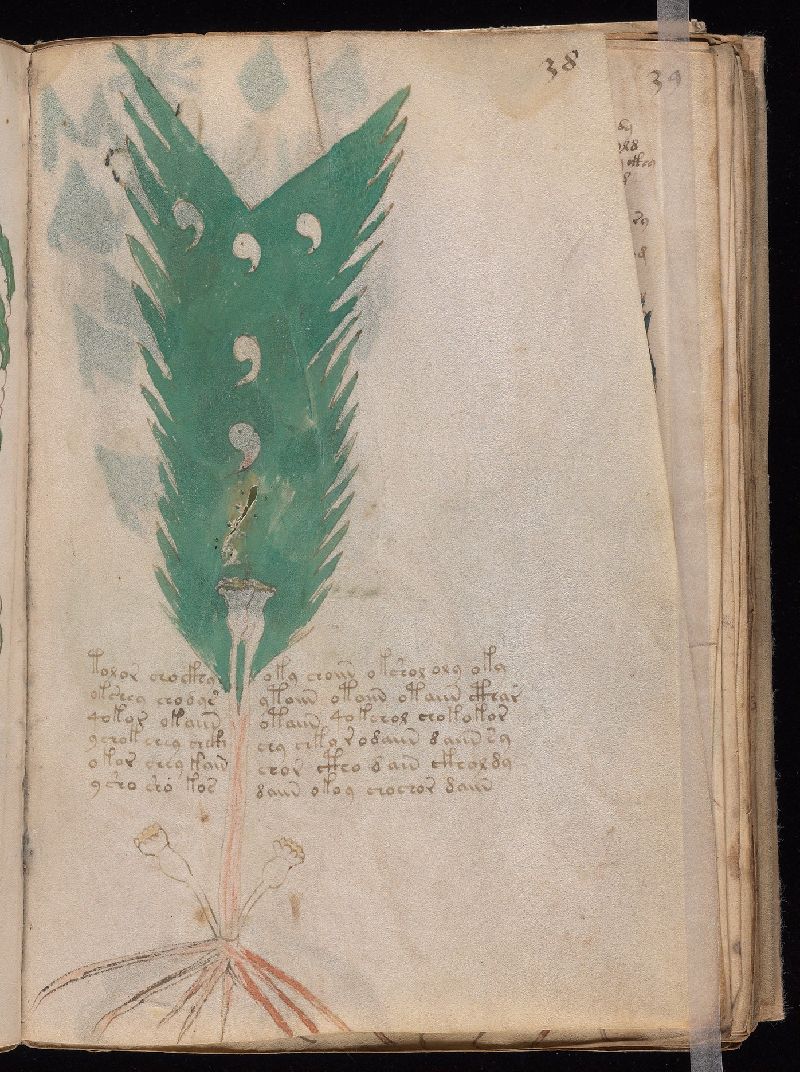f.38r
