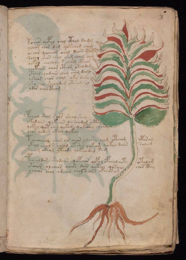 f.3r