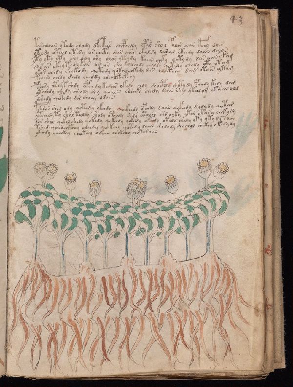f.43r