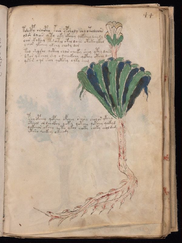 f.44r
