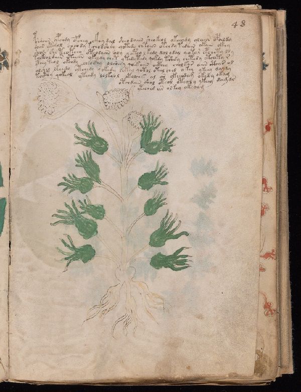 f.48r