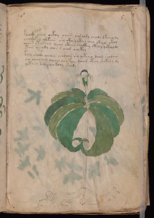 f.5r
