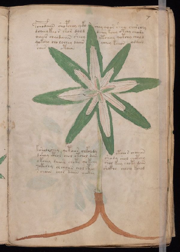 f.7r