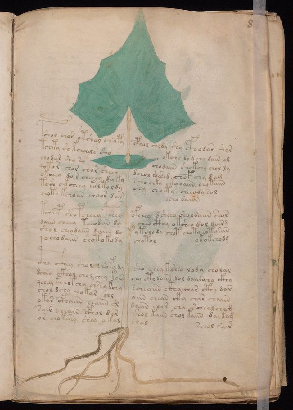 f.8r